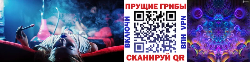Купить  Руза  Псилоцибиновые грибы ЛСД 